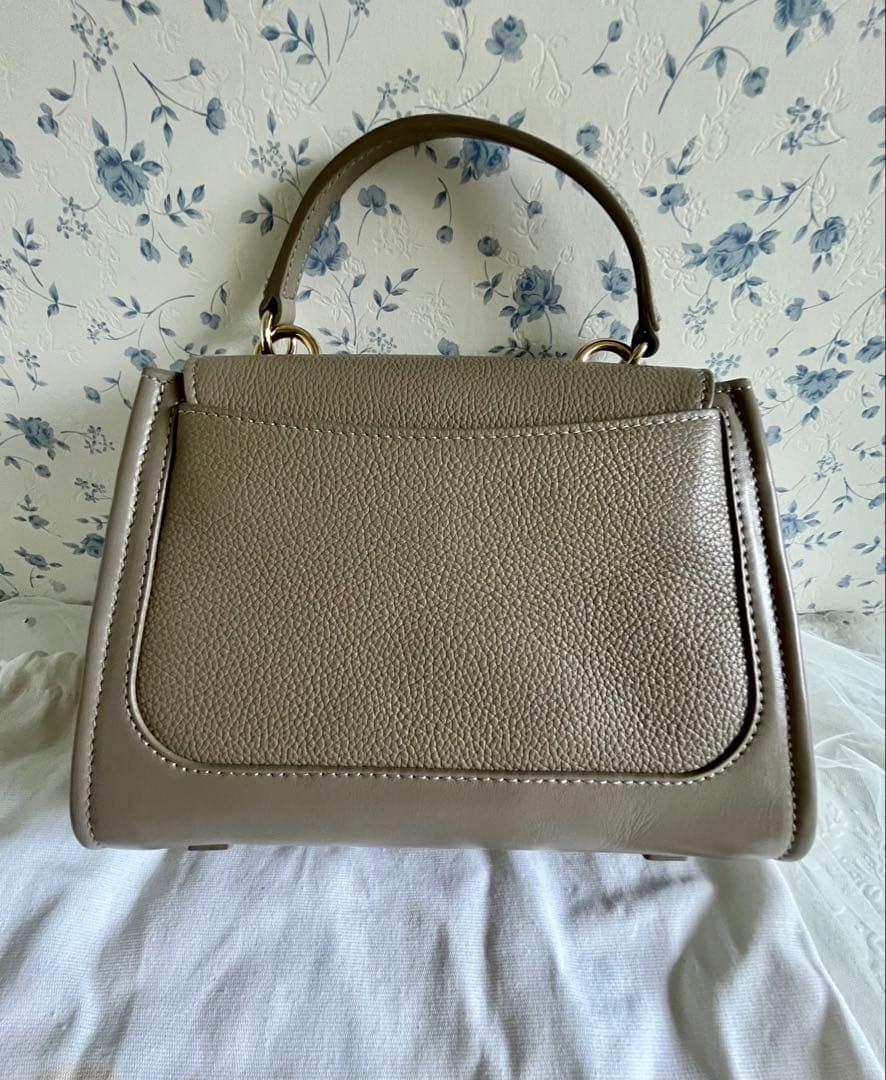 ＊美品＊クロエ Chloe テス ミニデイバッグ ショルダーバッグ