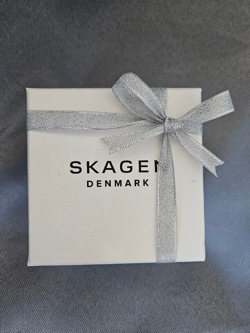 SKAGEN 腕時計 メンズ ブラック skw6579