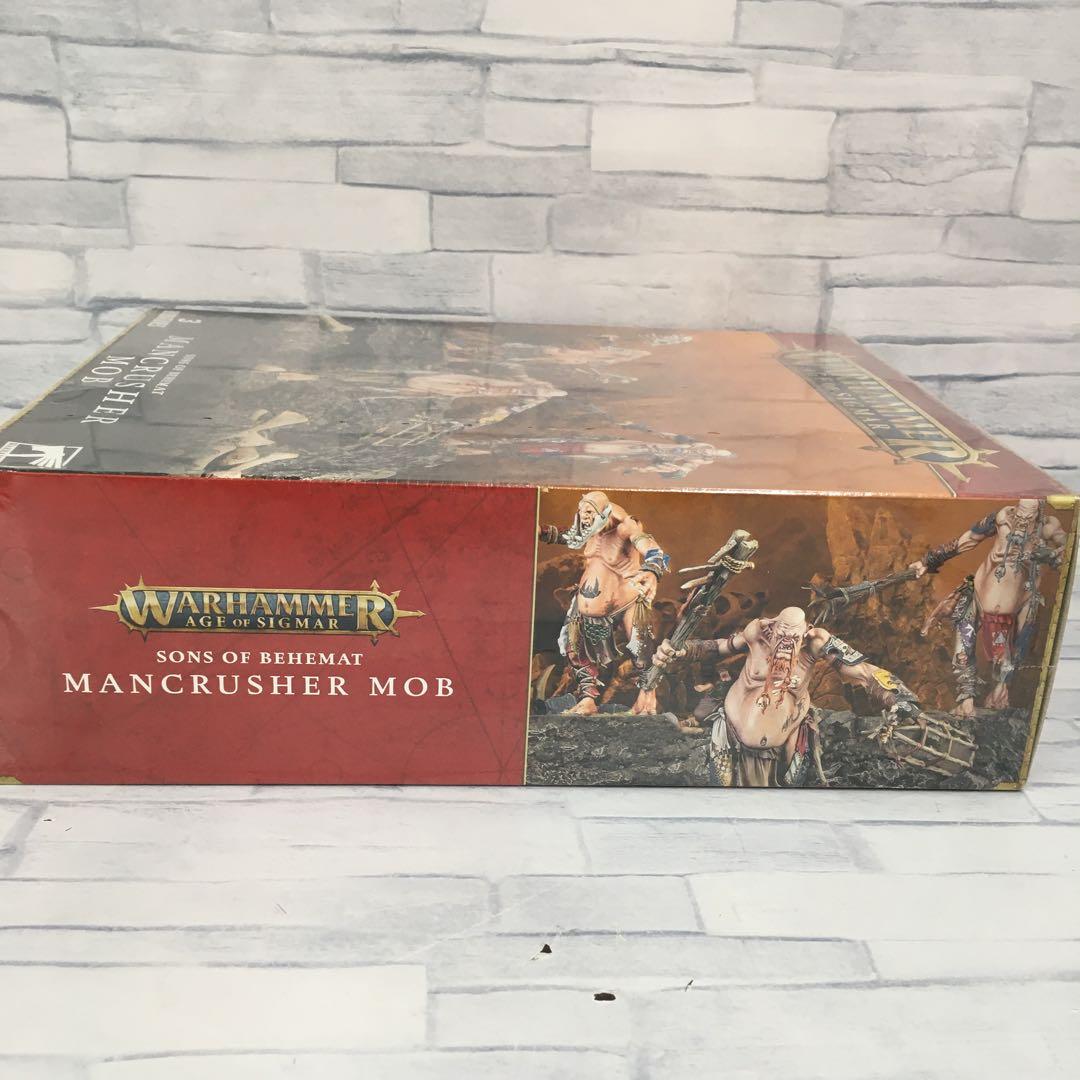 o491 マンクラッシャー・モブ