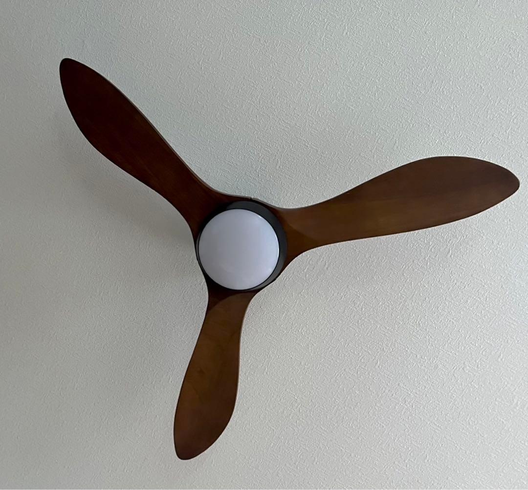 ロウヤ　シーリングファンライト