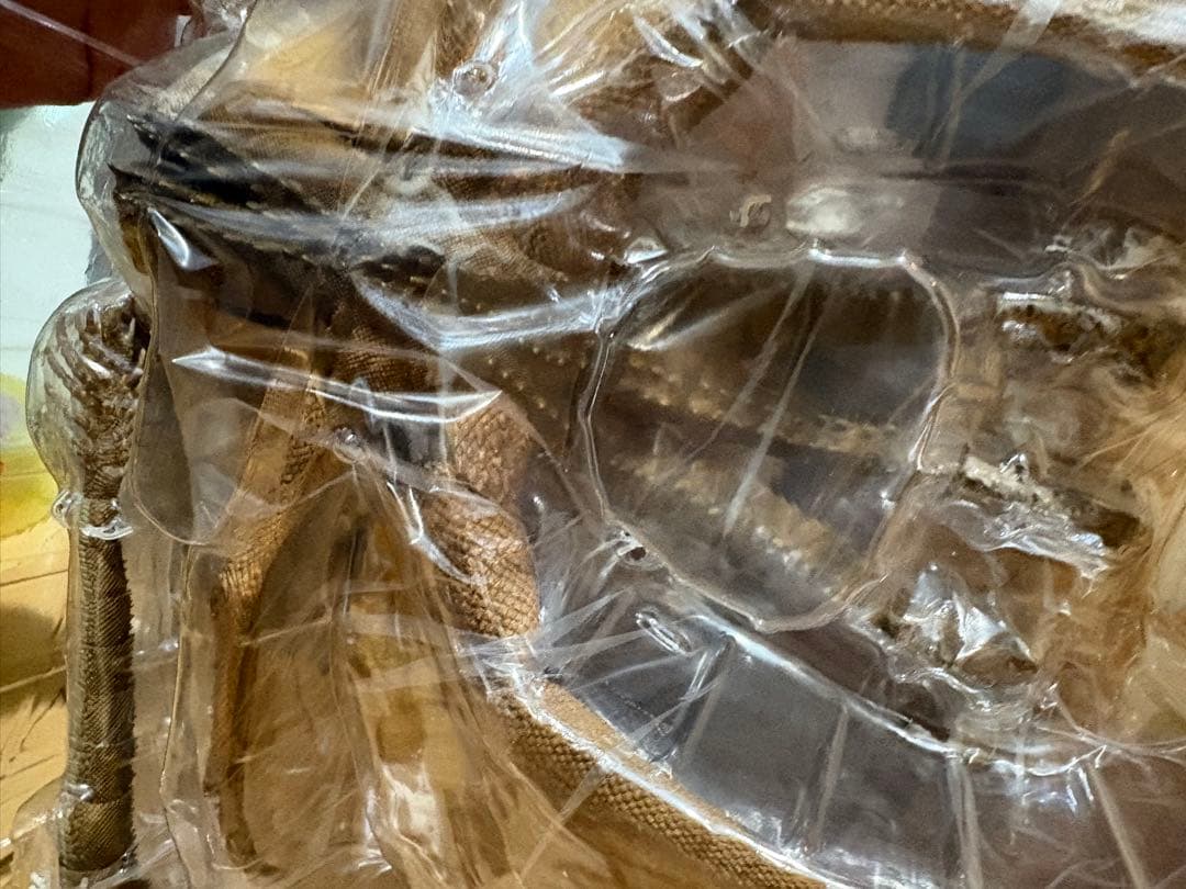 HIYA TOYS ハイヤトイズ キング・オブ・モンスターズ キングギドラ