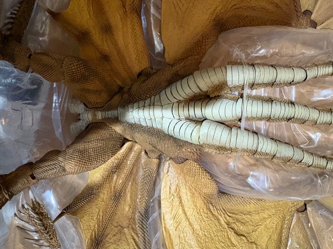 HIYA TOYS ハイヤトイズ キング・オブ・モンスターズ キングギドラ