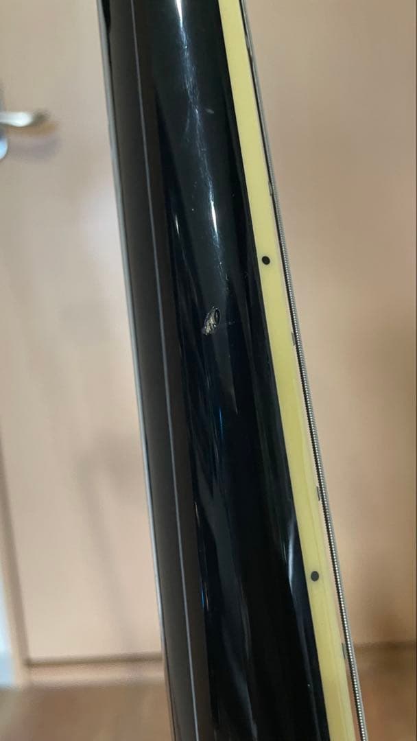 Epiphone Sheraton Ⅱ PRO 付属ソフトケース付き