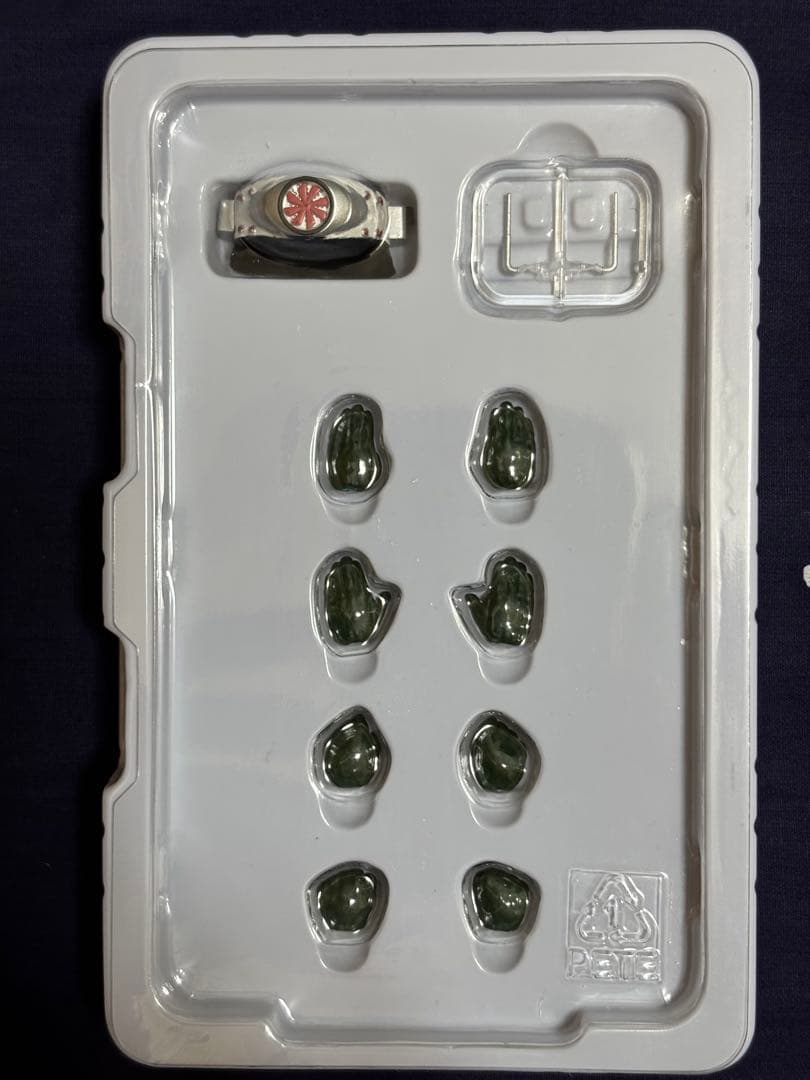 S.H.Figuarts 真骨彫製法 仮面ライダー1号（桜島ver）※カスタム品