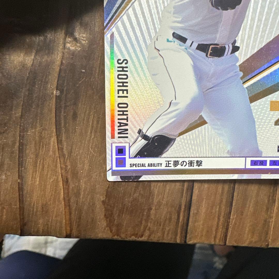 大谷翔平 オーナーズリーグ2013