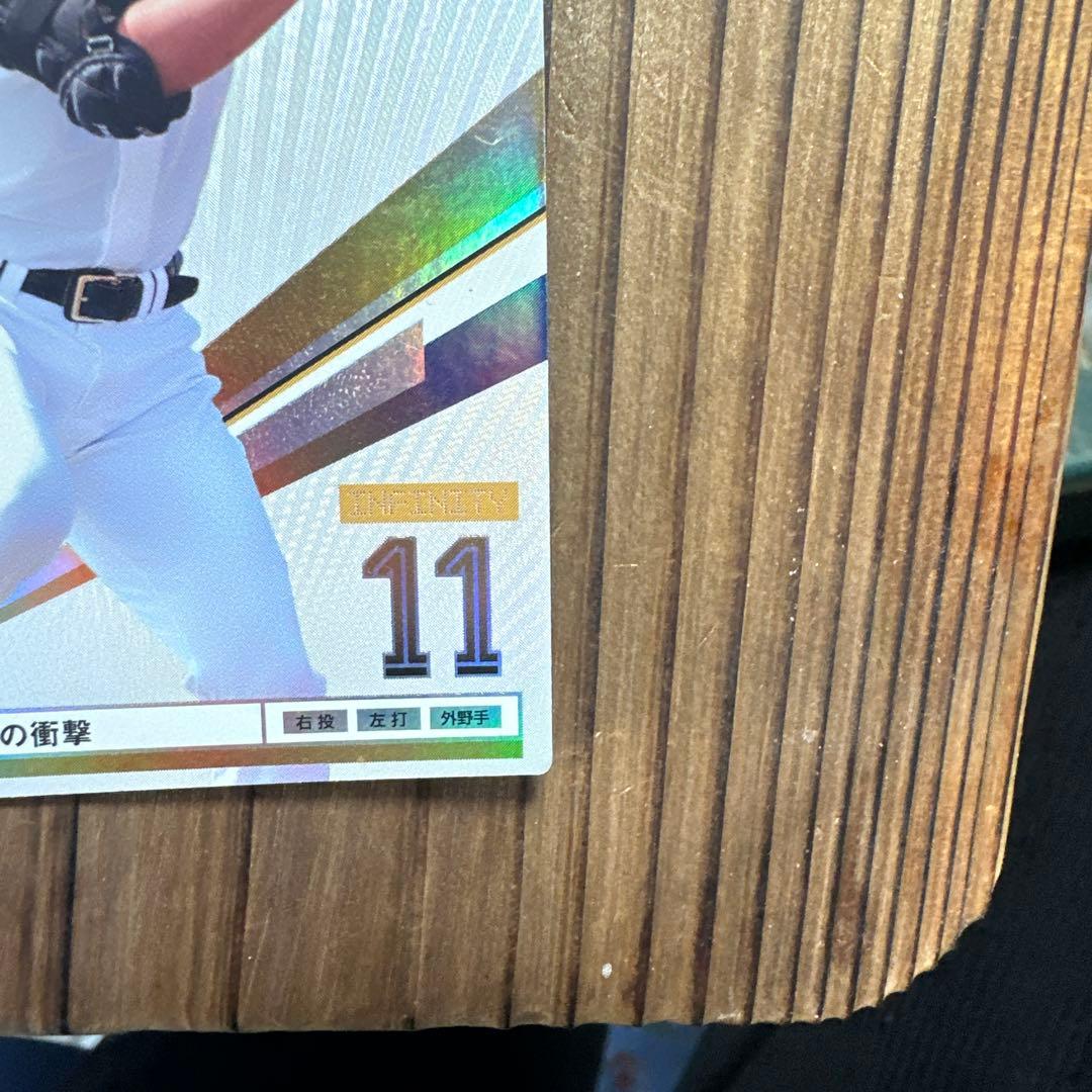 大谷翔平 オーナーズリーグ2013