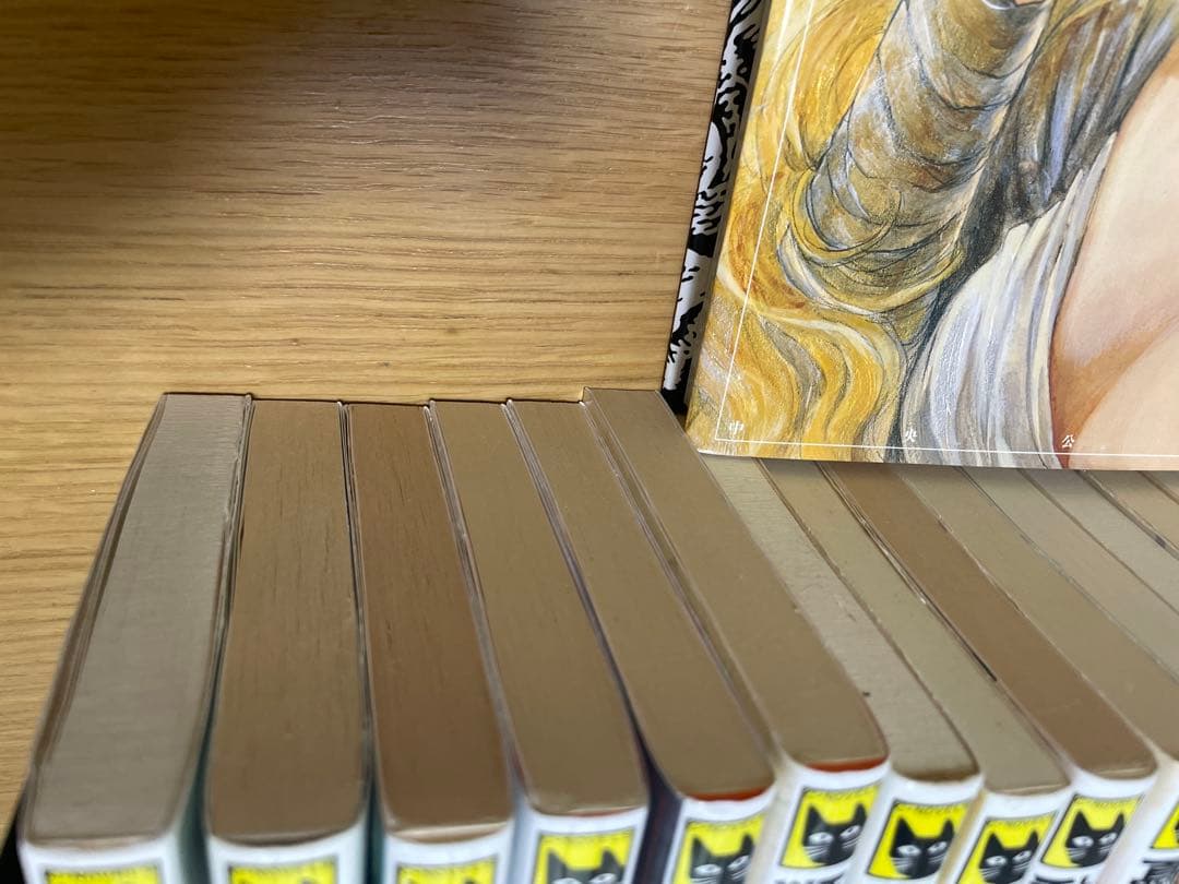 茅田砂胡　デルフィニア戦記　本編全18巻+外伝全3巻+グリンダ+全仕事+画集