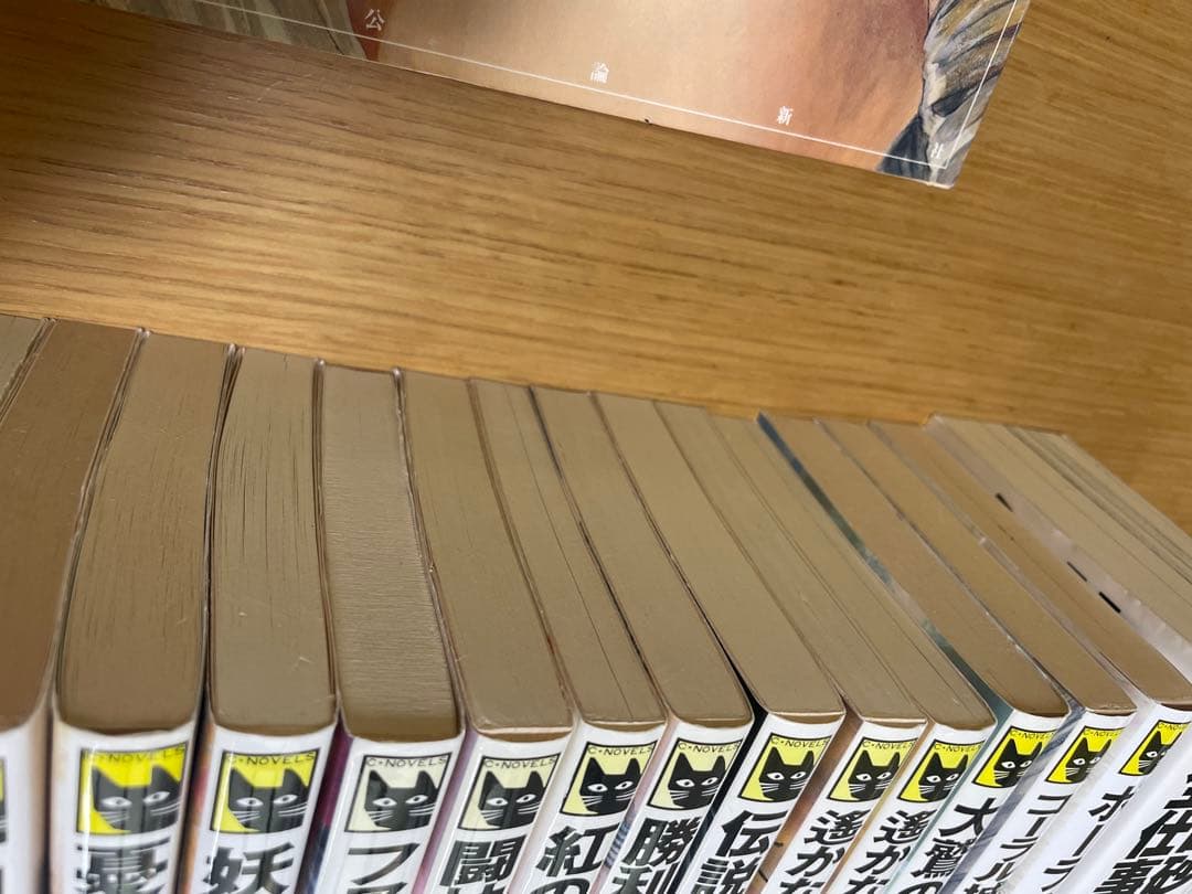 茅田砂胡　デルフィニア戦記　本編全18巻+外伝全3巻+グリンダ+全仕事+画集