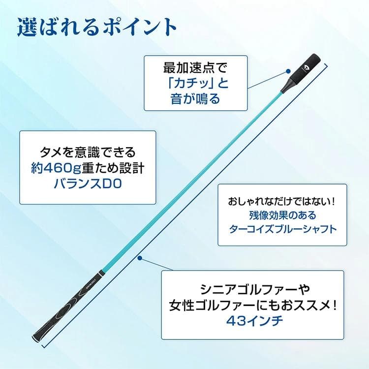 ダイヤゴルフ スイングプロツアーTB スイング練習機 TR-5002 TB