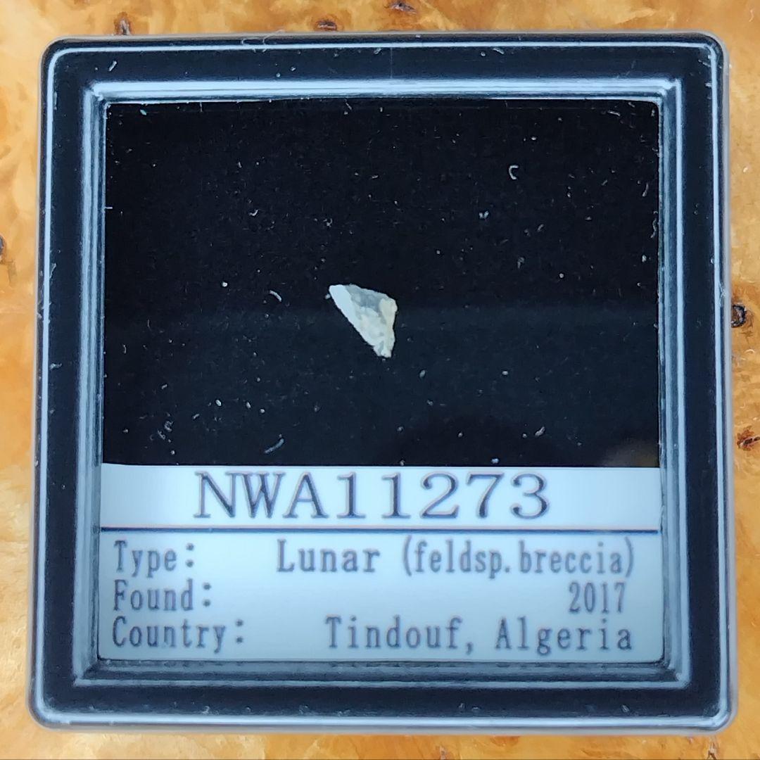 ＊月の石＊　月から来たＮＷＡ11273隕石標本