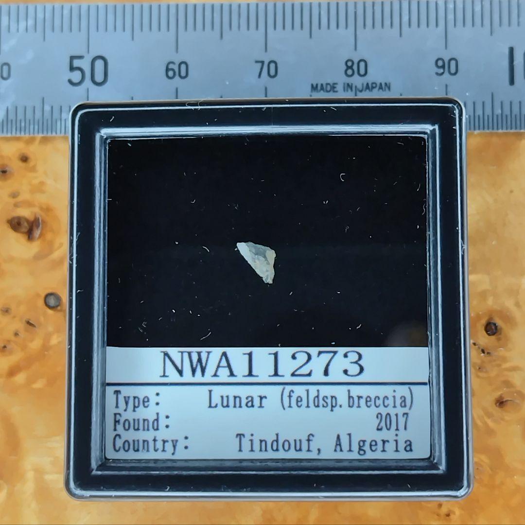＊月の石＊　月から来たＮＷＡ11273隕石標本