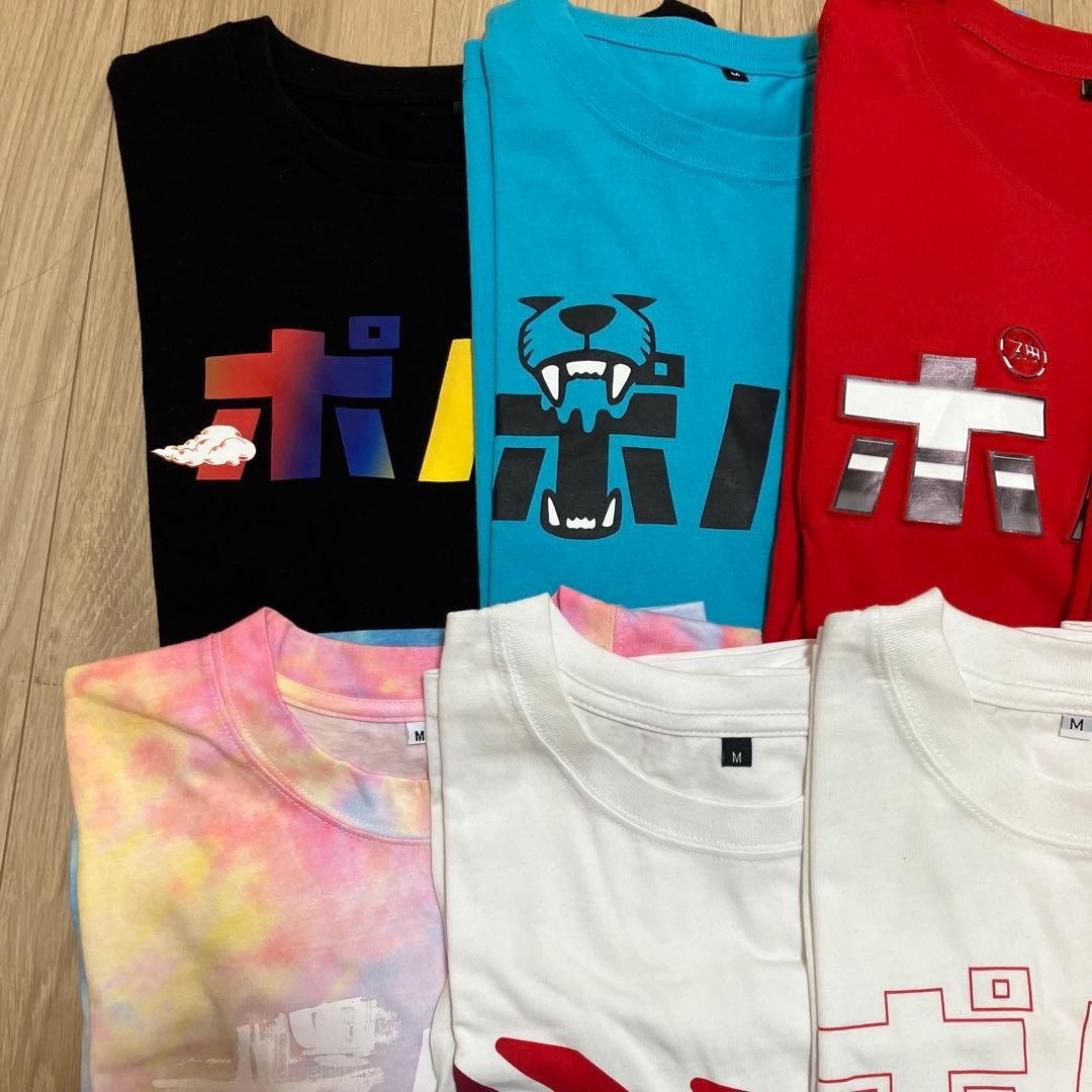 【期間限定値下げ】ポルノグラフィティ　Tシャツ16枚セット