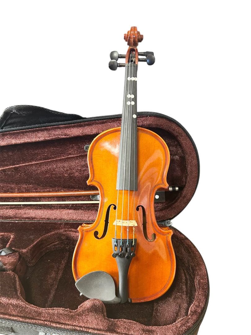 カルロジョルダーノ VS-1 1/10 バイオリン 本体 ハードケース付き
