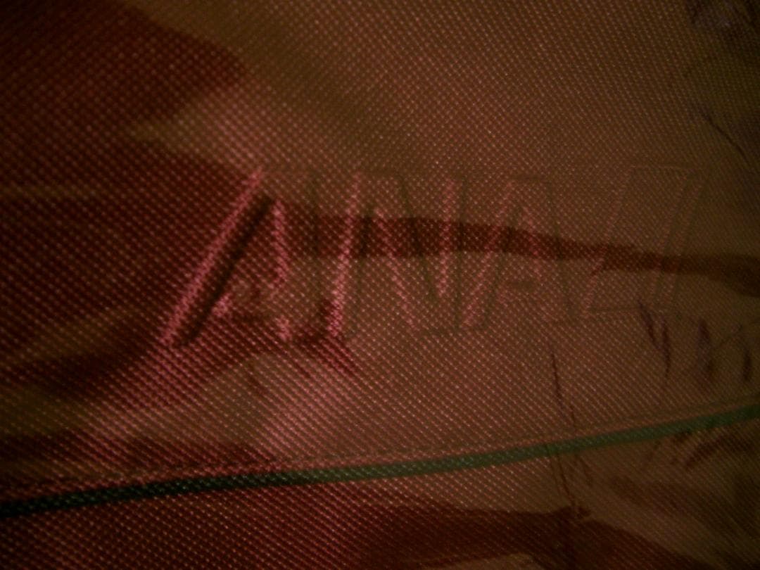 ANAスカイホリデー沖縄 キャンペーン 非売品オリジナルバック