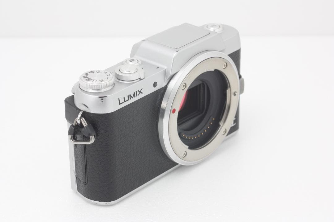 Panasonic LUMIX DMC-GF7 完動品 付属品多数 #340a