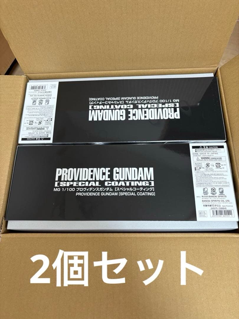 ＭＧ1/100 プロヴィデンスガンダム [スペシャルコーティング] 2個
