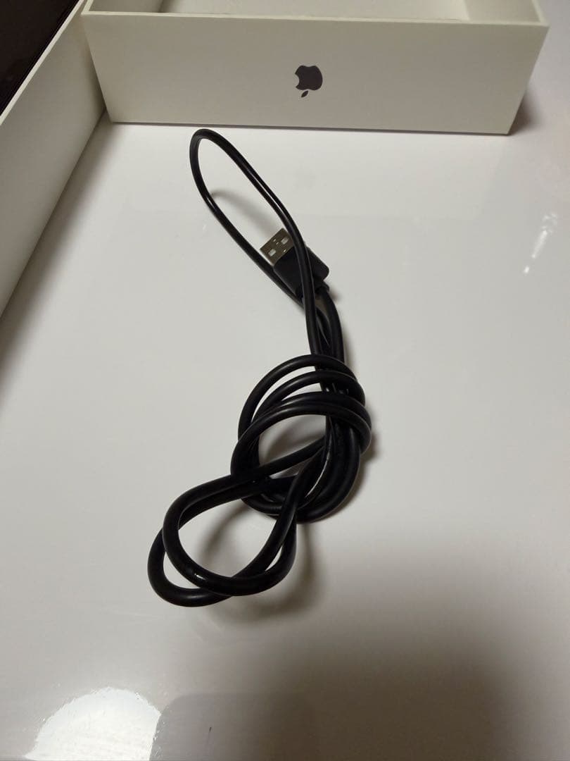 iPad Pro 11インチ Apple Pen Pro 他アクセサリー付き