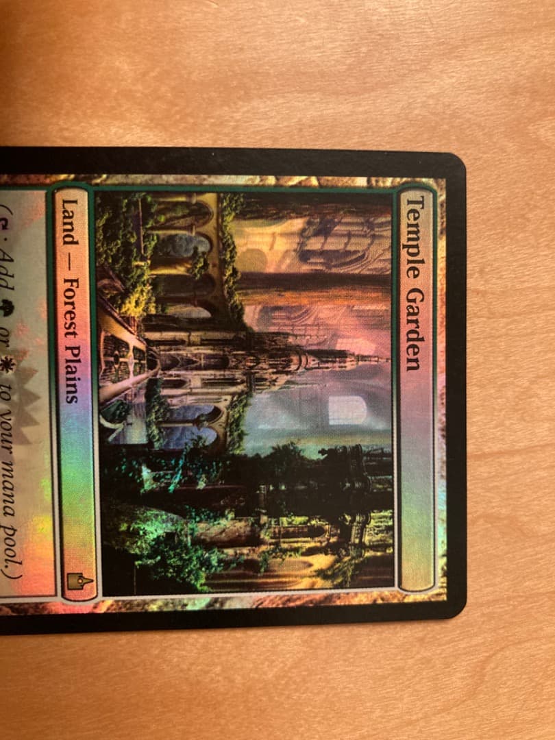 RAV 寺院の庭　英語 初版 FOIL1枚 ラヴニカ フォイル