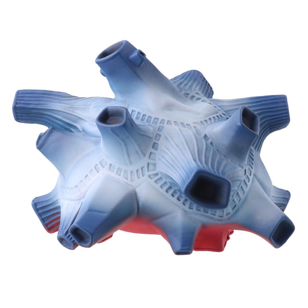 ブルトン ウルトラ大怪獣シリーズ5000 タグ付き 怪獣ソフビ