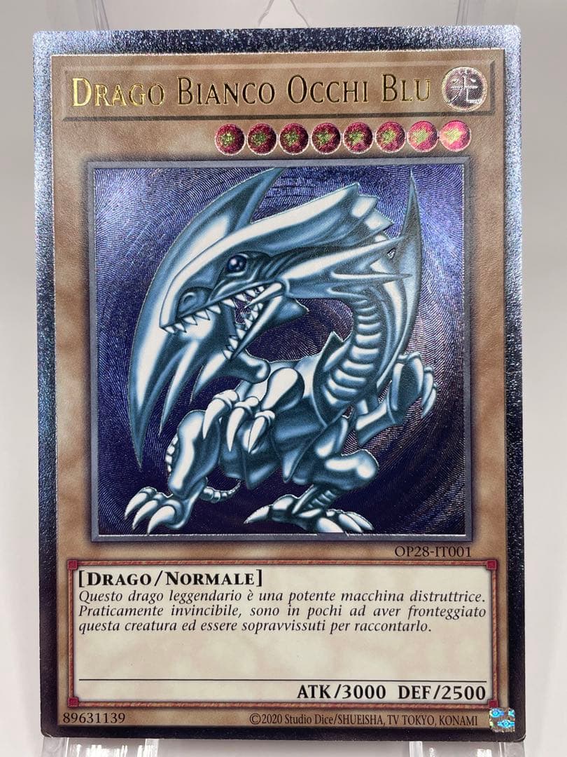 【彫深め】希少 イタリア語 青眼の白龍 レリーフ 遊戯王 OTS