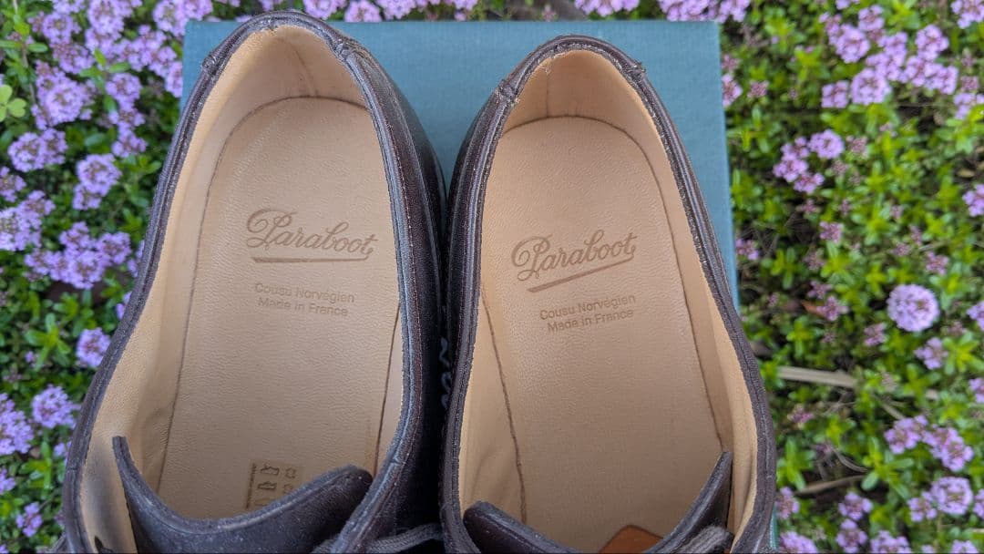 だつち 新品 パラブーツ シャンボード