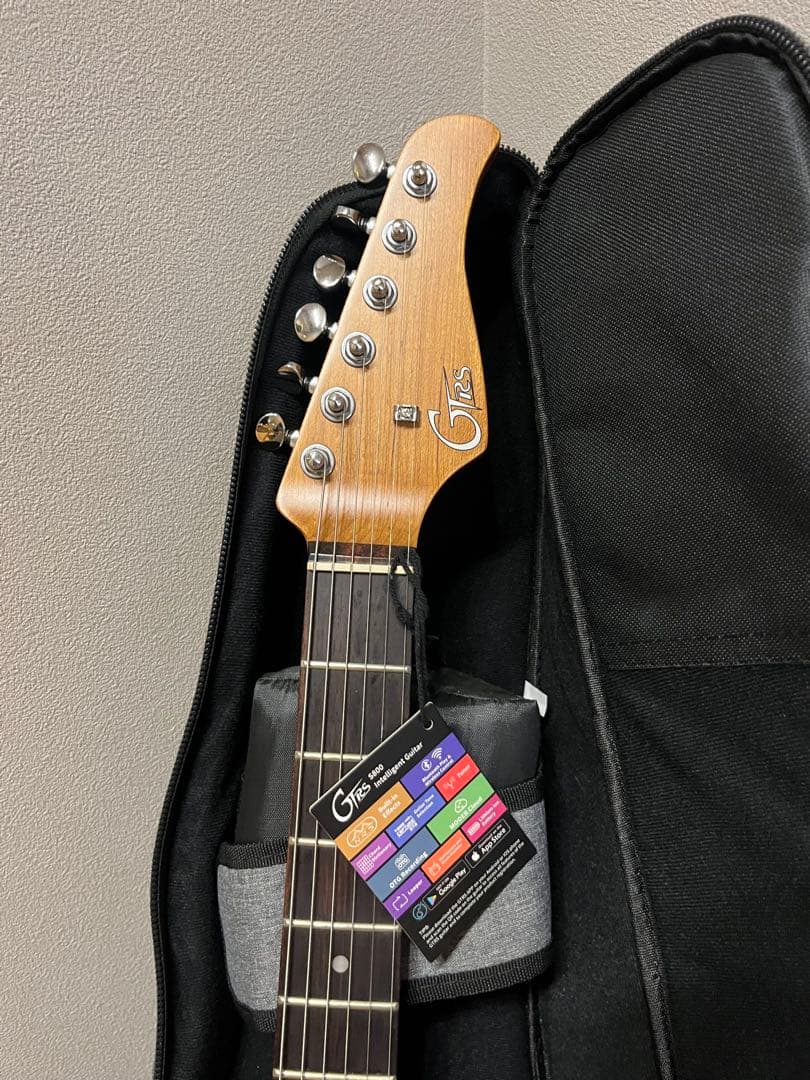 Mooer GTRS エレキギター
