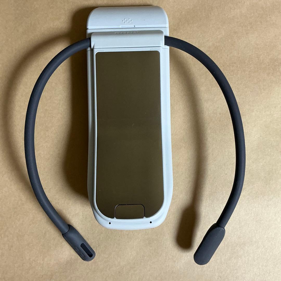 SONY REON POCKET PRO　ソニー レオンポケットプロ