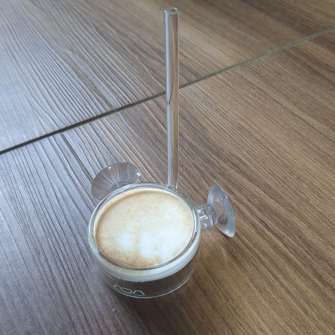 ADA パレングラスビートル　Pollen Glass Beetle