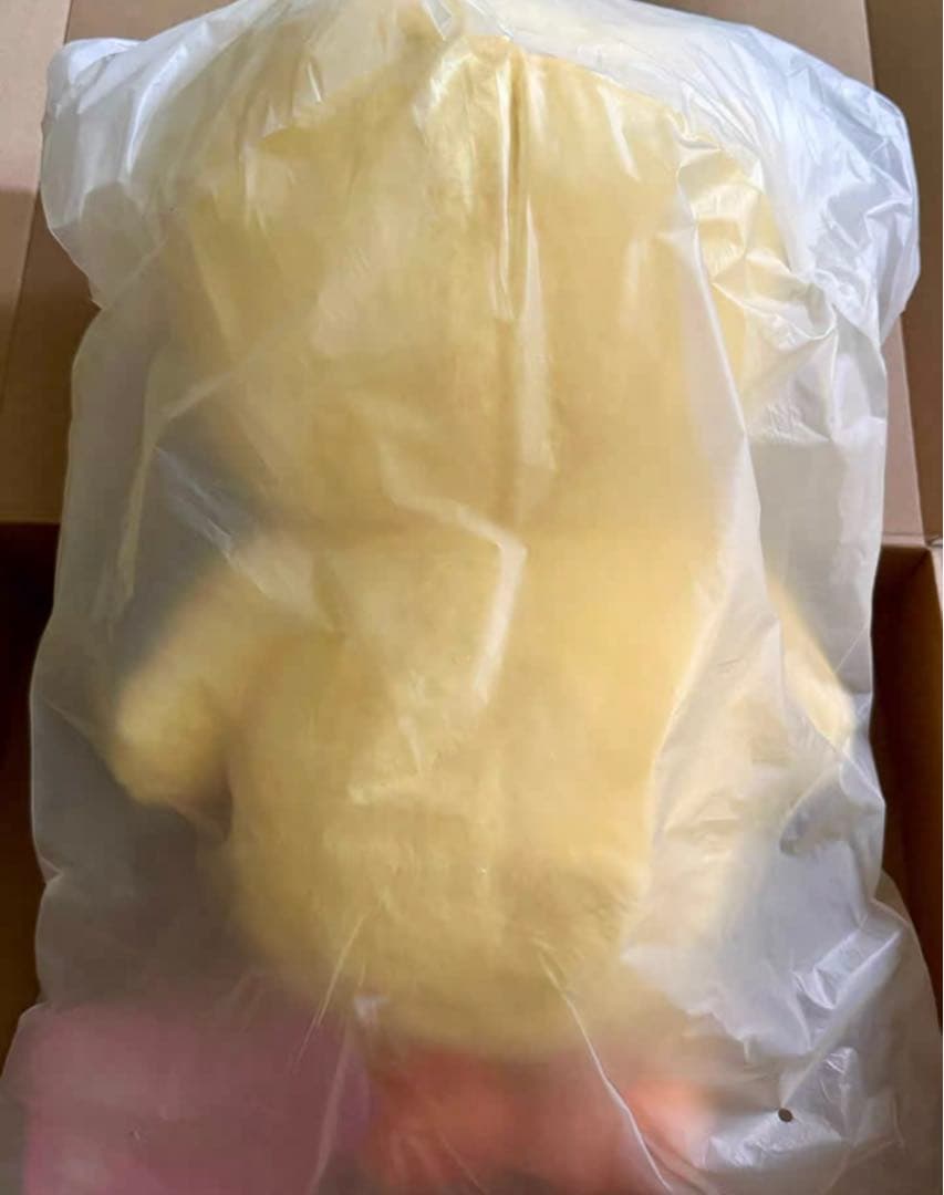 る*き様 Stray Kids SKZOO PLUSH テディベア Ver.ポガ