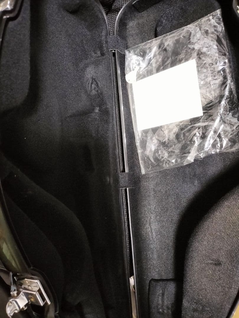 c.c.シャイニーケース　サックスケース