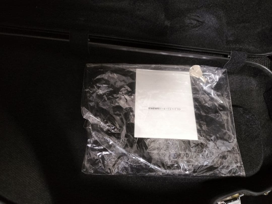 c.c.シャイニーケース　サックスケース