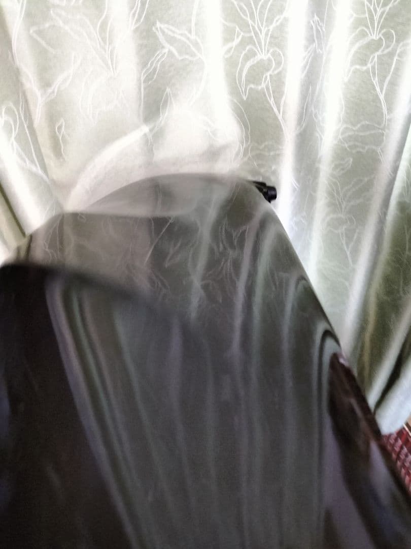 c.c.シャイニーケース　サックスケース