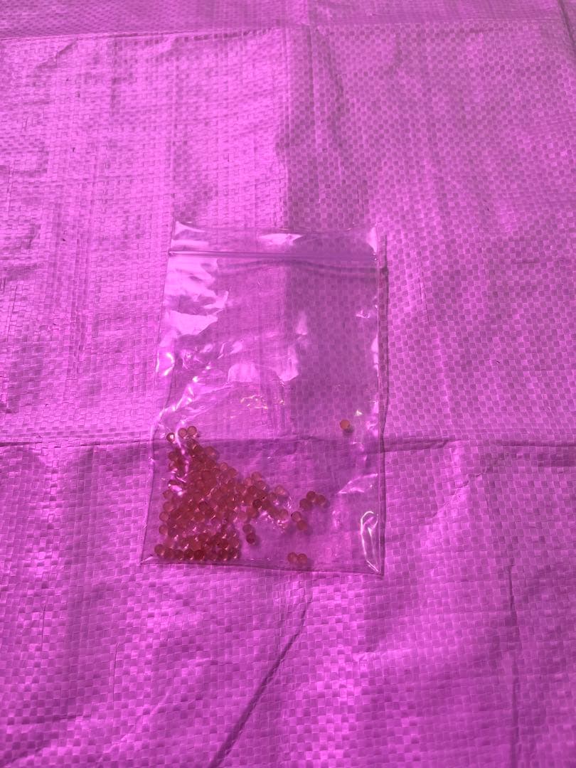 CO2ボンベセット 水草育成用