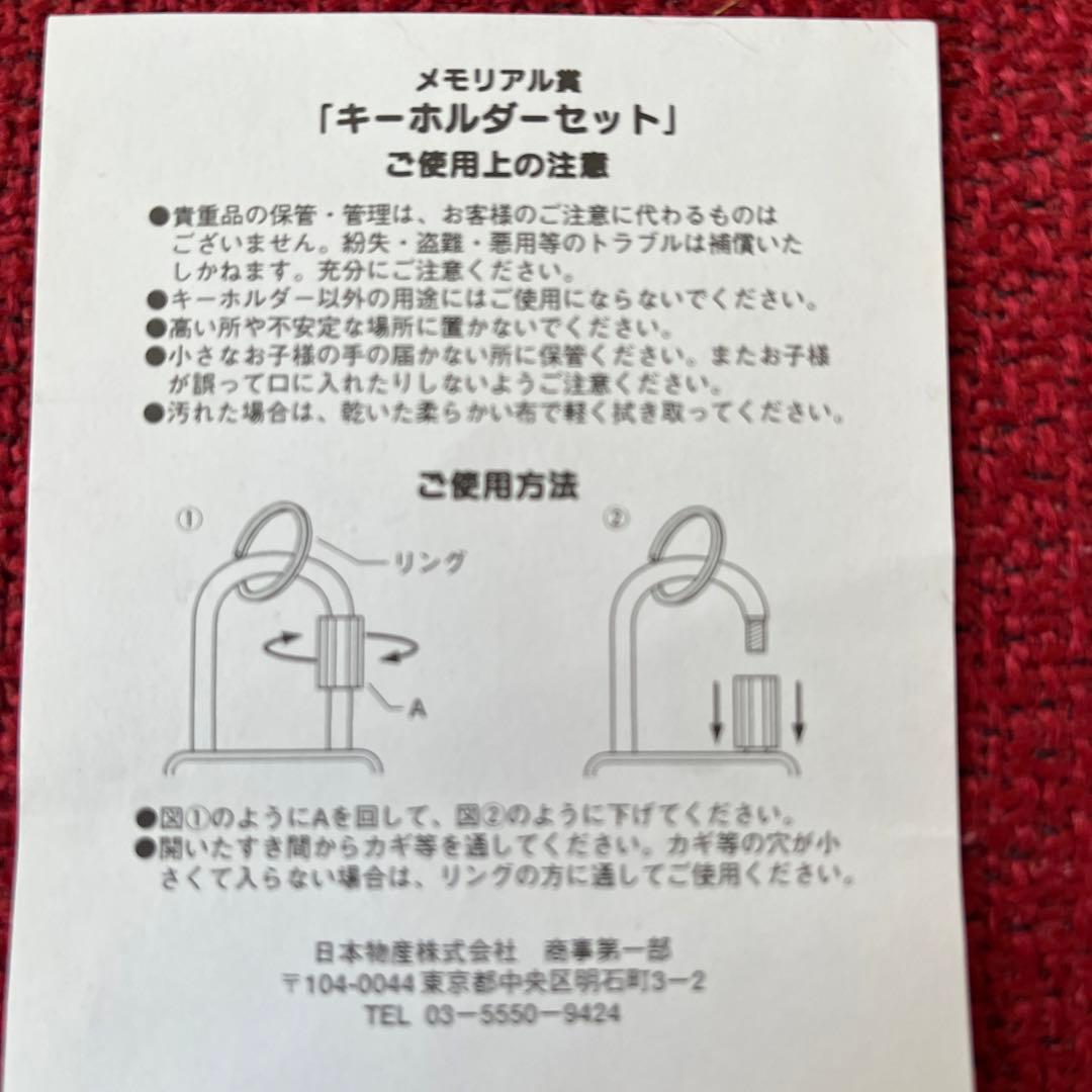 TDL15周年キーホルダーセット第一生命