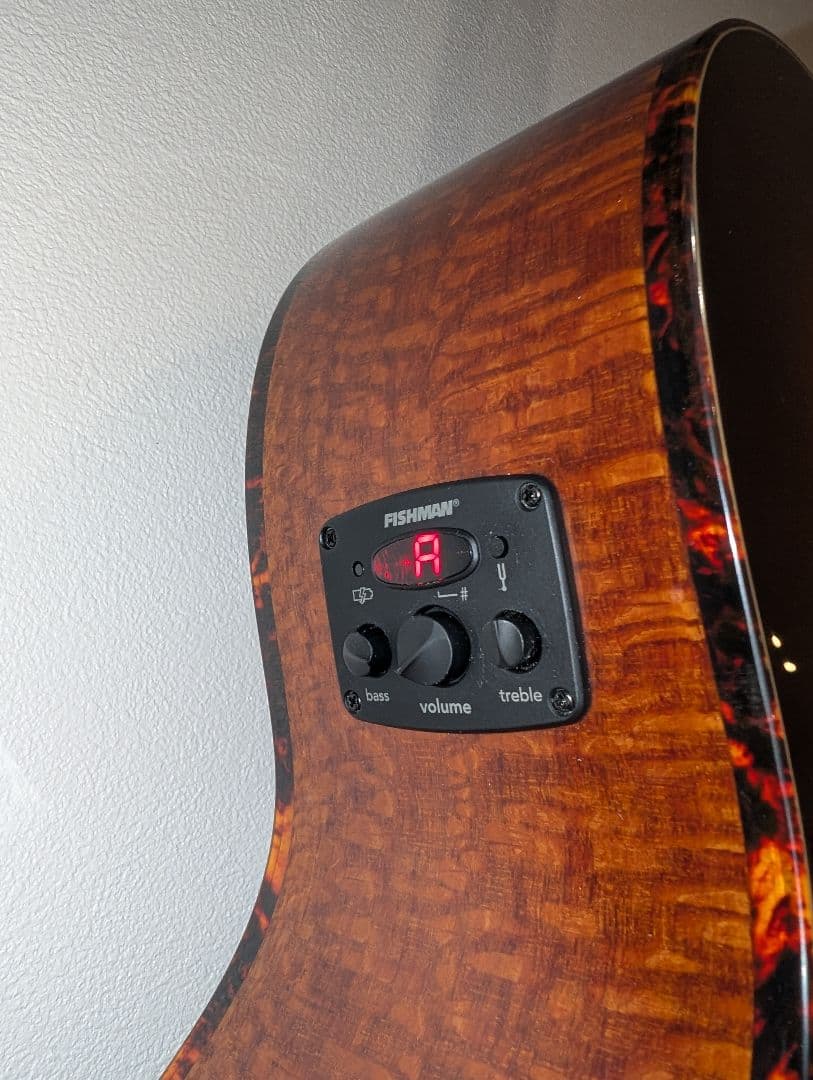 【値下げ可】Fender　FA-345CE