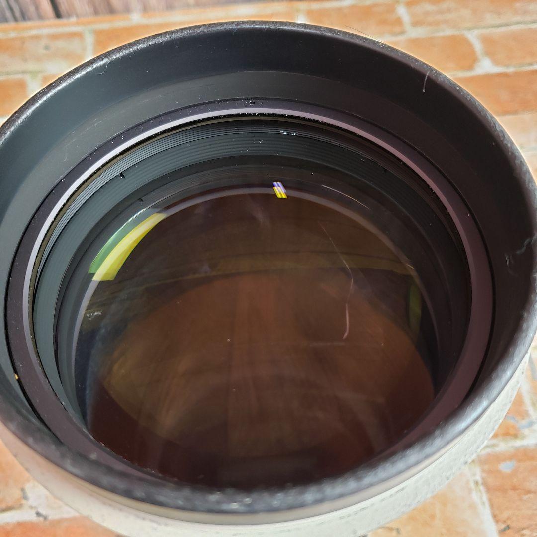 キャノン EF 300mm F2.8L EXTENDER EF 1.4x II