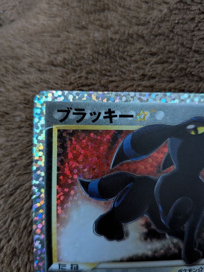 ブラッキー フシギバナ 25th ANNIVERSARY