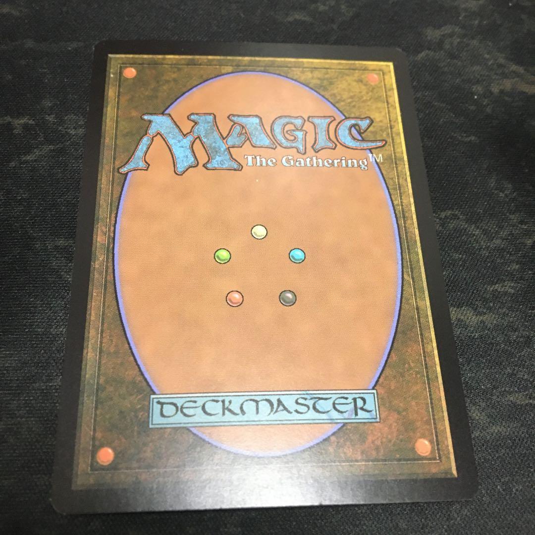 MTG　サメ台風　拡張　foil　英語