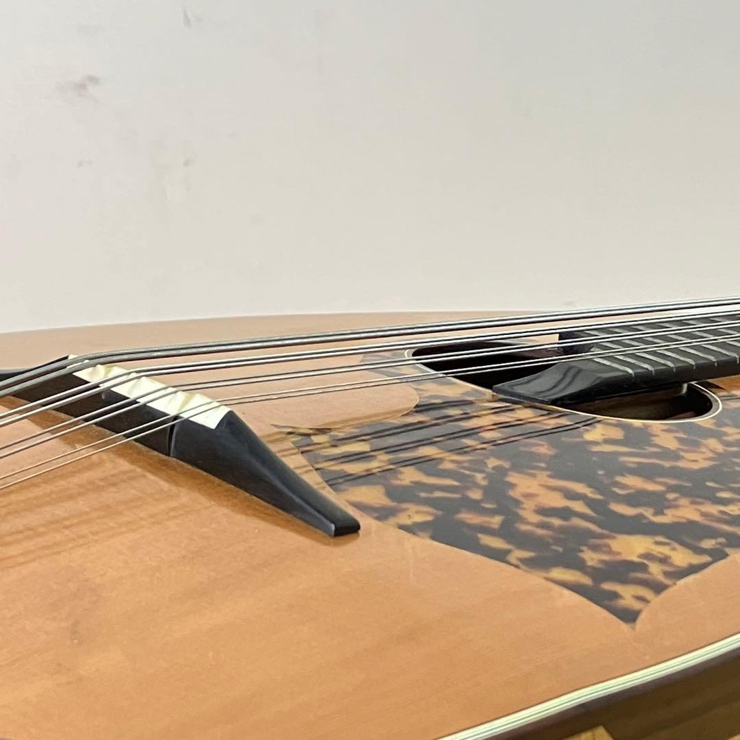 野口實 マンドリン CM-11 ハードケース付き