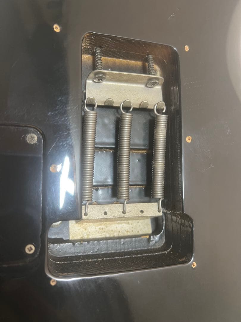 EDWARDSエドワーズプロフェッショナルギターとベース