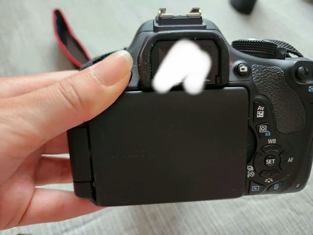 CANON EOS KISS ×5 とSIGMA 70-300mm F4-5.6