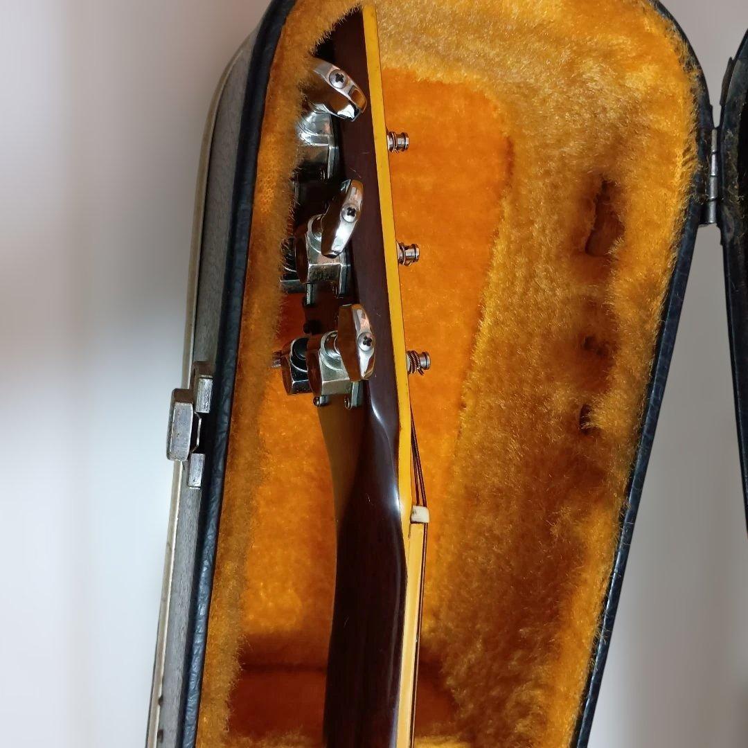 Blue Bell アコースティックギター 250