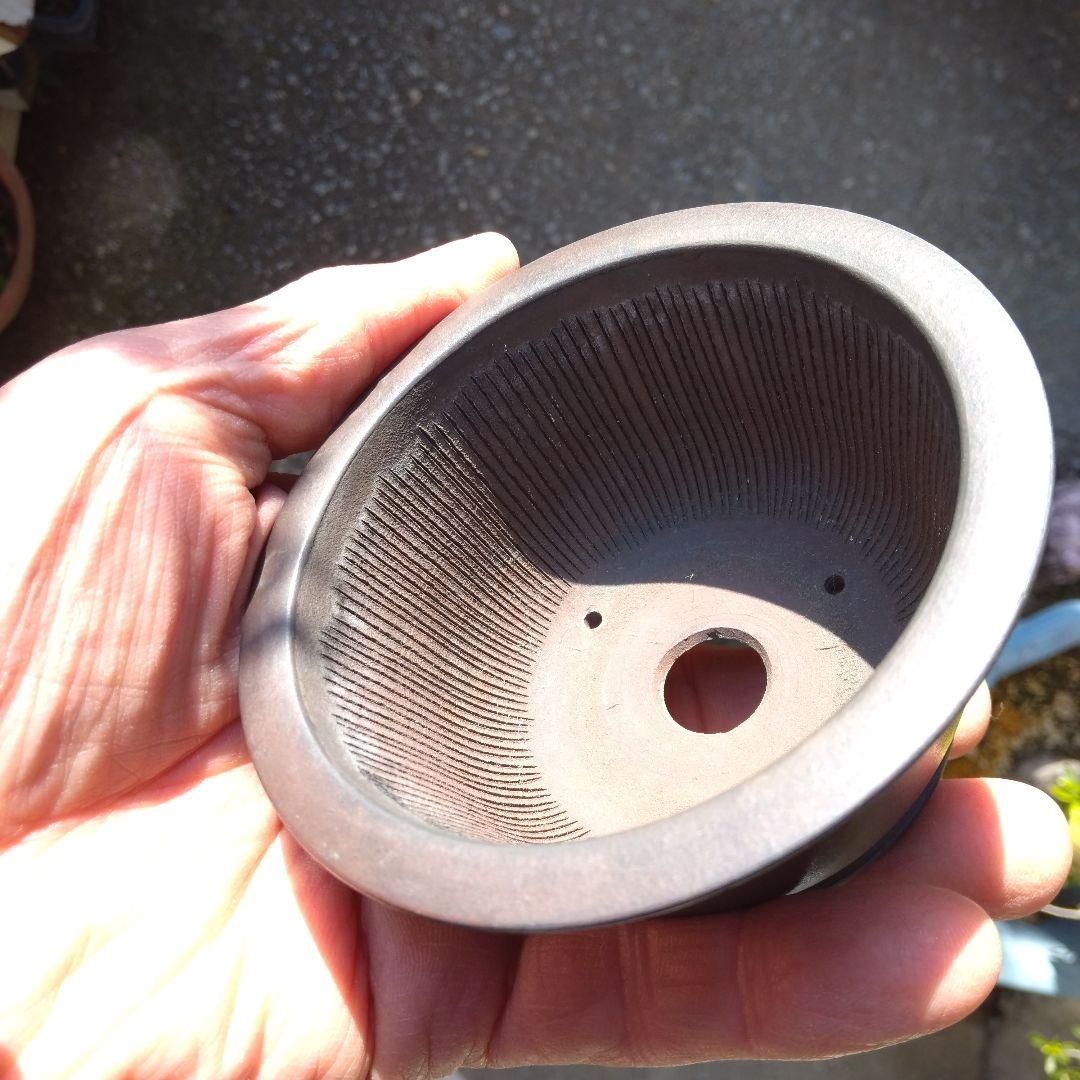 ミニ鉢、盆栽鉢、鉢、植木鉢、山野草鉢、蘭鉢、盆栽