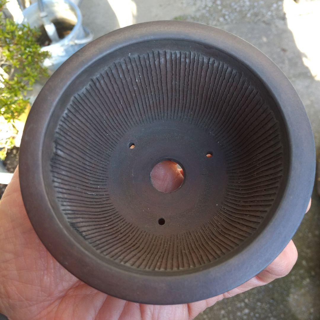 ミニ鉢、盆栽鉢、鉢、植木鉢、山野草鉢、蘭鉢、盆栽