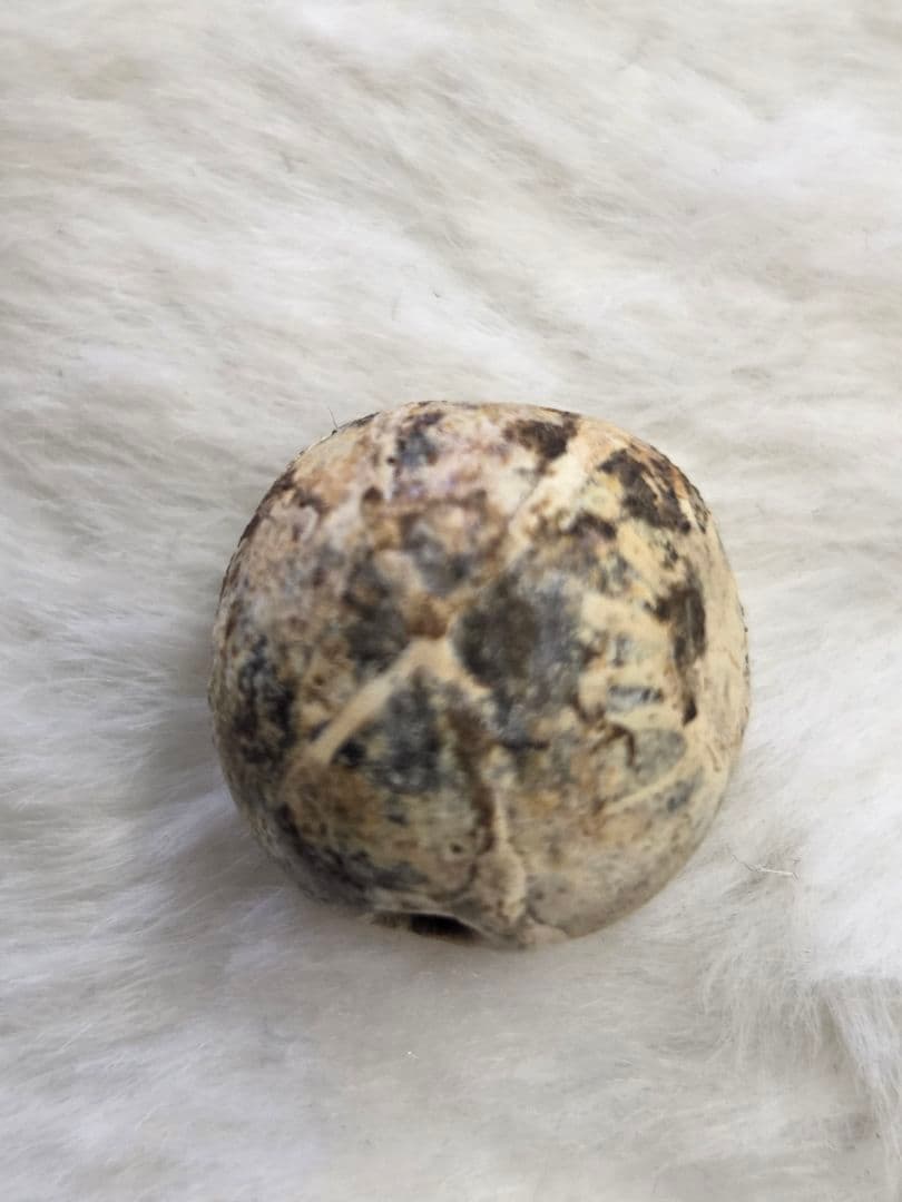 018　蜻蛉玉　古い鳥が消えて　太陽のみ残ったジャワ玉！