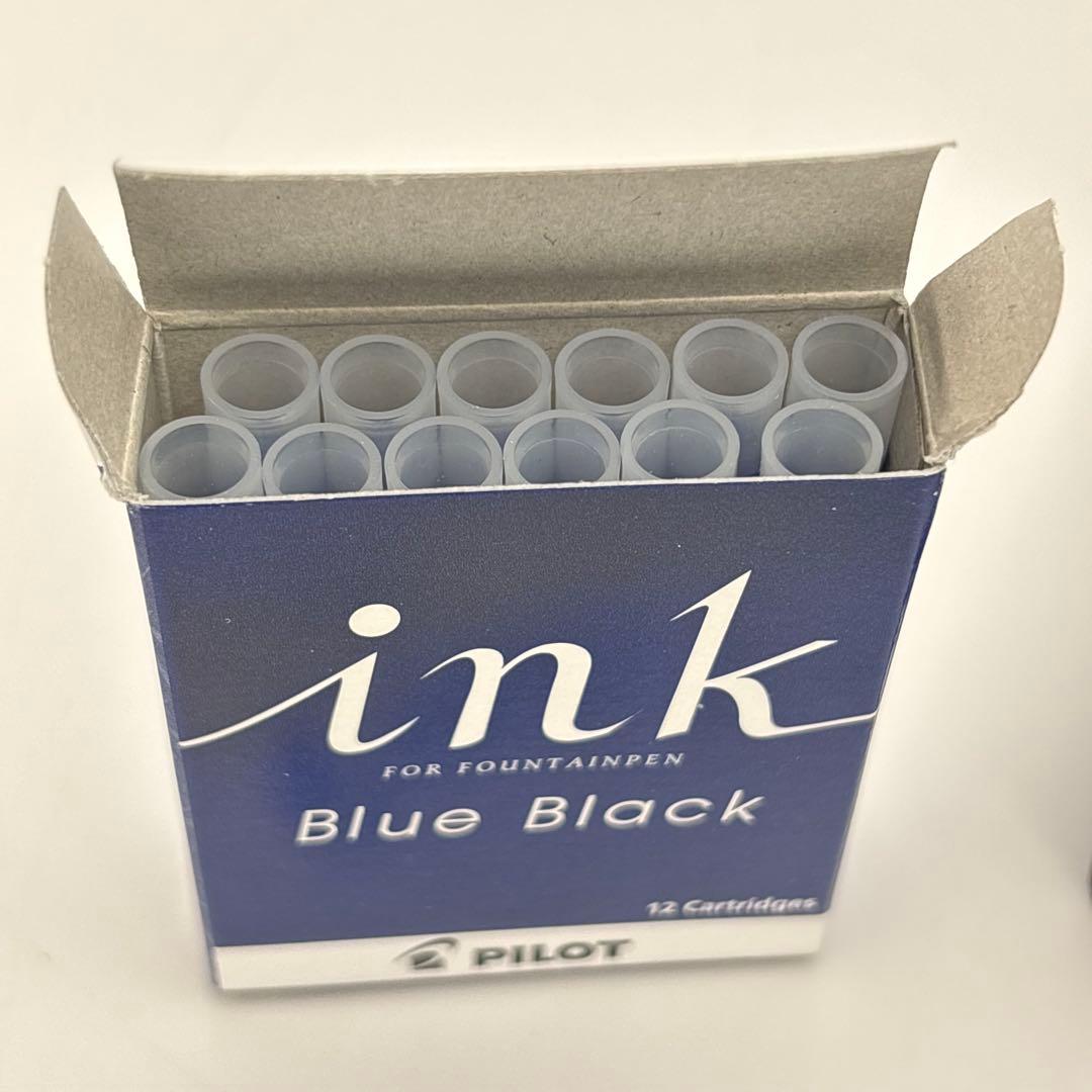 PILOT カスタム74 万年筆 14K 585 赤 ボルドー 筆記可 インク付