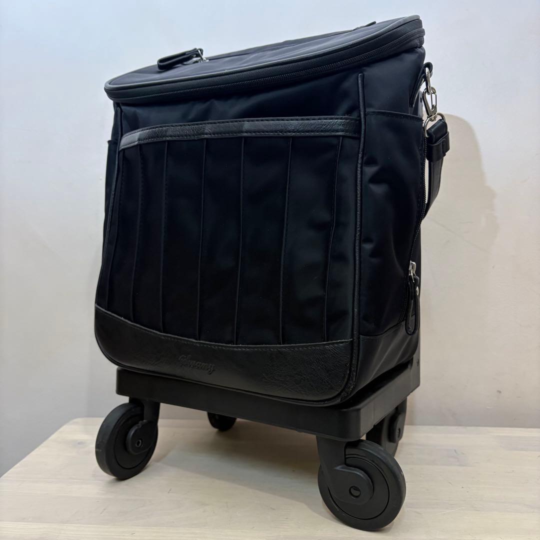 スワニー　ショッピングキャリー　22年製　美品　d 550 M21