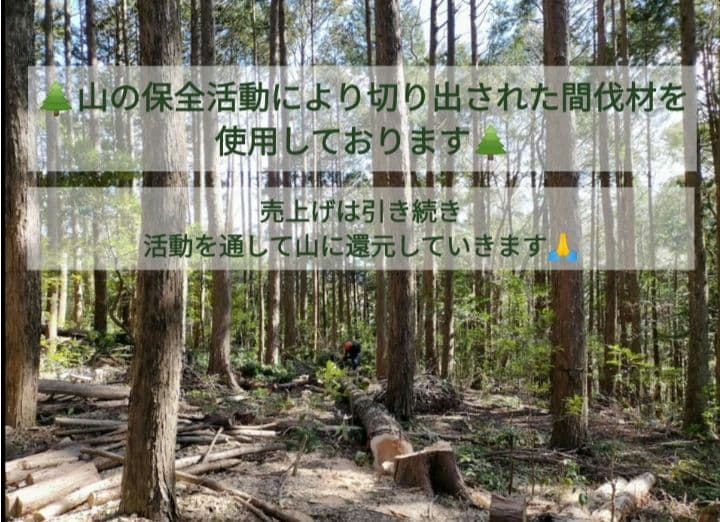 “山師の手作り” 樹齢100年 桧の切り株スツール キャンペーン期間限定