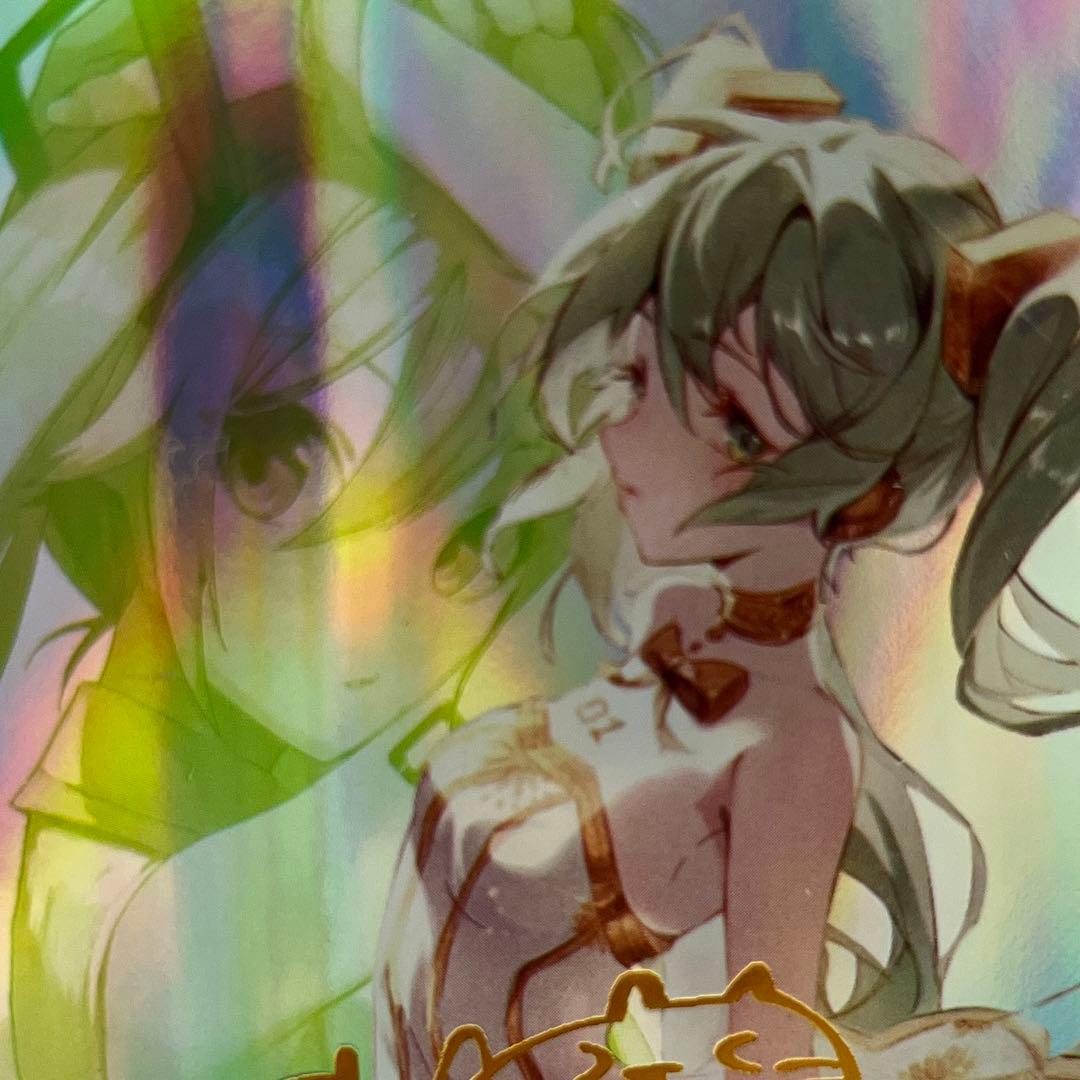 acgセクシーカード　　ZR3⭐︎020     美品