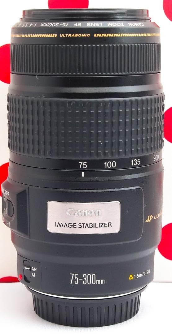 Canon EF 75-300mm IS USM❤フルサイズでも使える！❤超望遠